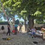 brigada2