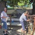brigada5